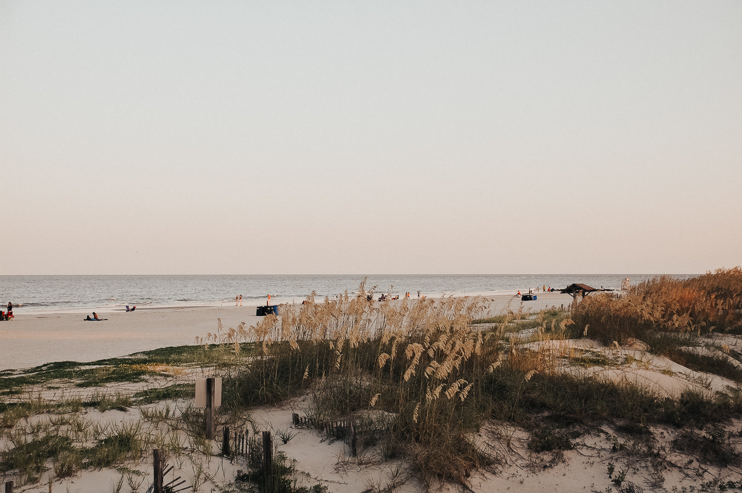 Sea oats and coastal grasses on sand dunes overlooking a calm sandy beach and ocean at sunset with people on the shoreline.