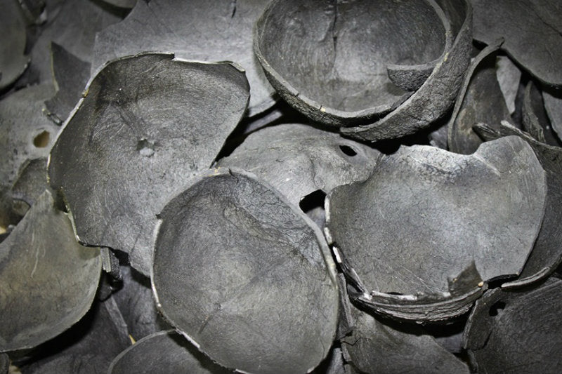 The Charcoal Craze: 6 Benefits of Activated Charcoal Use