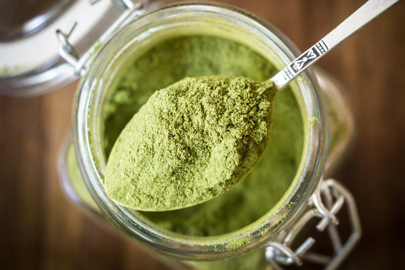 Moringa: The Rising Star of Superfoods