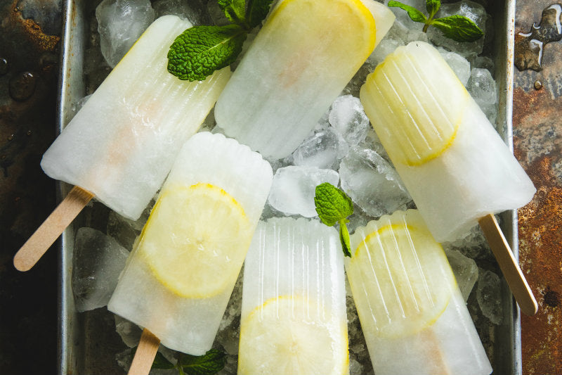 Lemon And Mint Magnesium Ice Blocks