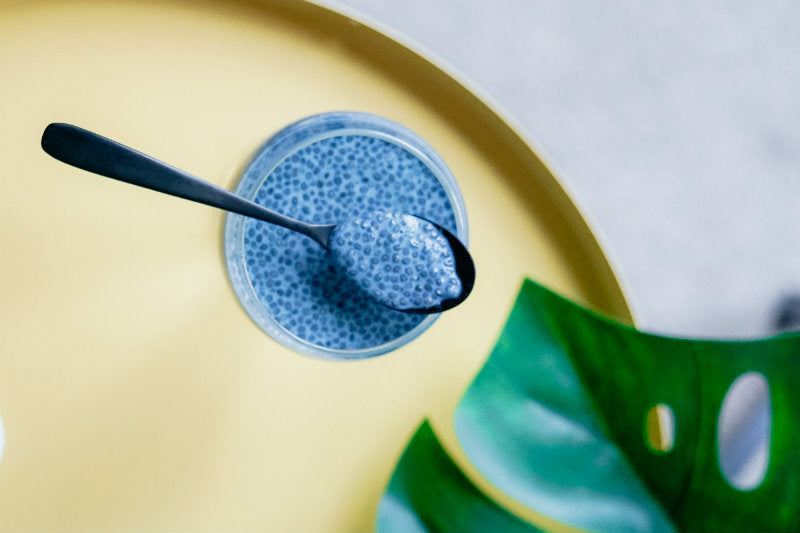 Chia Egg