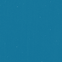 FREE Signature Crew Socks Banner