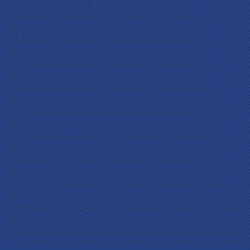FREE Men's / Women's Shorts Banner