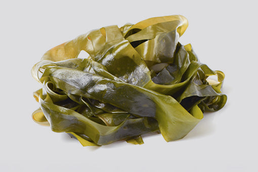 Tasmanian-Seaweed-v3.jpg__PID:f0efb0d1-c733-45d5-bff3-b8ebca0f8fc4